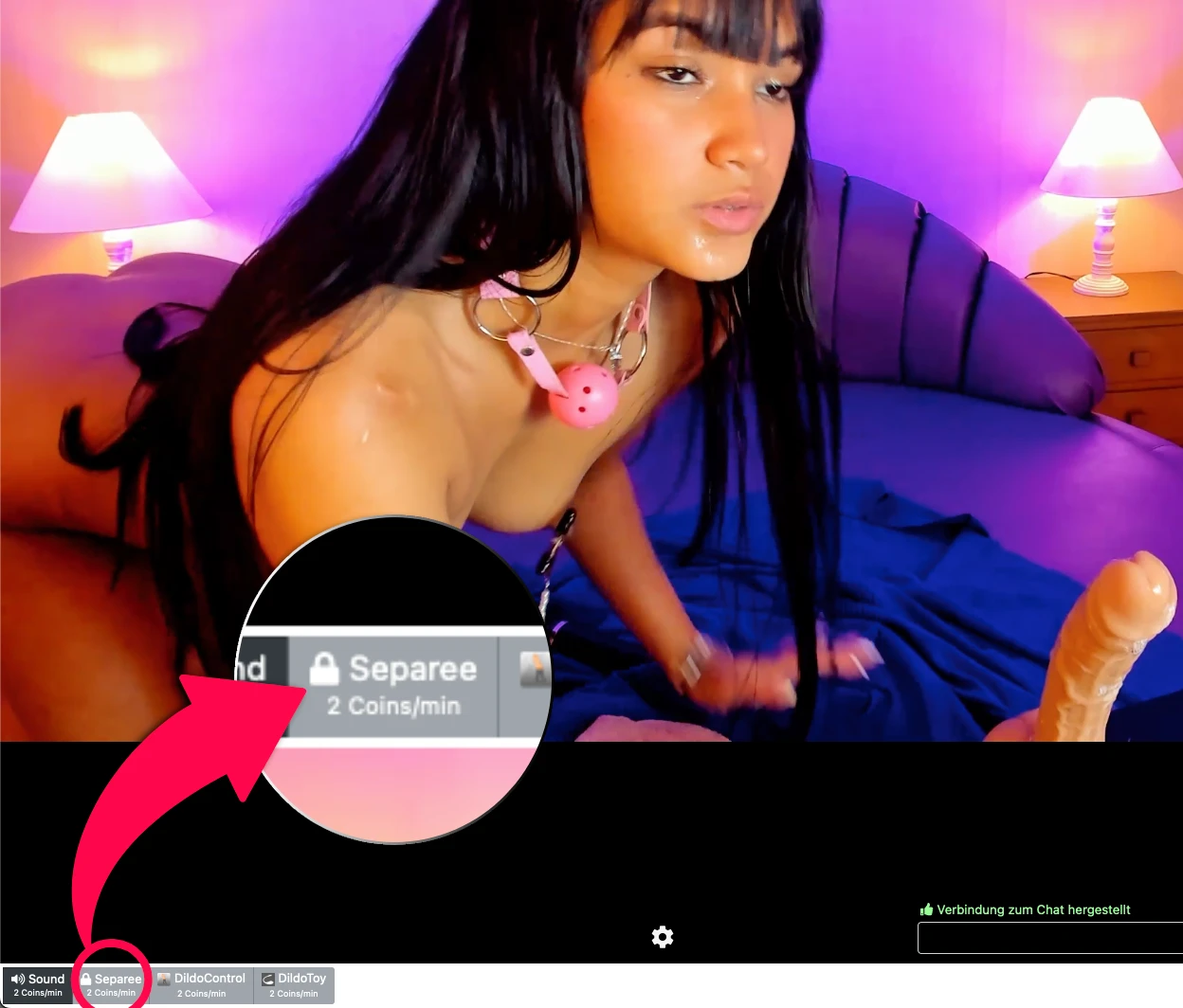Cam2Cam Webcams